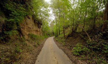 A beautiful view of the dirt road through the forest on a sunny day. An asphalt road through a gorge on a cloudy May afternoon. Picturesque hilly area, road through a loess gorge under a cloudy sky on a spring afternoon.   clipart