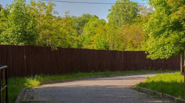 Parkta kahverengi ağaçlar ve çalılar var. Sokak kaldırımları (sokak), çitler ve bir sürü yeşil ağaç. İlkbaharda mavi gökyüzünün altında bir sürü yeşil bitki arasında. 