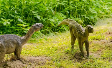 Hayvanat bahçesindeki yabani devekuşu. 30 Mayıs 2023, saat 15: 34. Baharda bitkilerin arasında pisanasaurlar. Dinozor çağının başlangıcında Arjantin 'de yaşayan küçük otçul dinozorlar (bir kedi büyüklüğünde).  