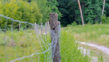 Köydeki eski çitler. Orman çitleri, orman çitleri. Polonya Ormanı, Ostrowiec yakınlarında bir yaz günü Temmuz sabahı.  