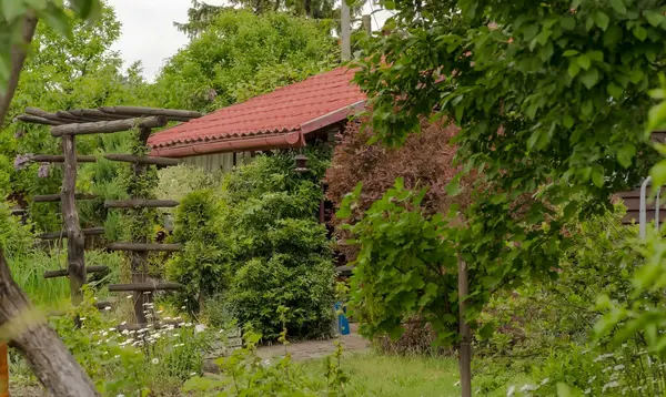  Bahçedeki ahşap küçük ev. Bahar yeşillikleri arasında tahsis evi (ROD). Baharda yeşillik ve çiçekler arasında Aile Bağları Bahçeleri. 