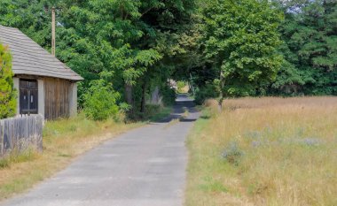 Bir yaz öğleden sonra bir orman köyünün içinden geçen toprak bir yol. Ormanın ortasındaki bir köyde bir yaz günü (Çariçe Glina - 