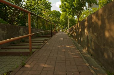 Şehirdeki ormanda boş bir yol. Bir Mayıs öğleden sonra kentte kaldırım kenti. Bir Mayıs öğleden sonra şehir. Bahar gelişiminin zirvesinde yemyeşil doğa .  
