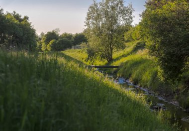 Bahar Ormanı 'ndaki nehir. İlkbahar öğleden sonra çayırlar ve ağaçlar arasında küçük bir nehir. Şehirde doğa - çayırlar, küçük bir nehir ve şehrin kenarında bir orman gün batımından önce bir Mayıs öğleden sonra . 