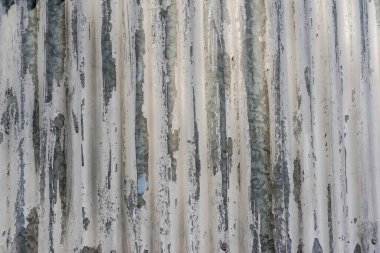 Gri levha metal doku arka planı. Galvanize edilmiş beyaz boyayla boyanmış metal kaplamalı baraka duvarı. Endüstriyel bir odanın metal duvarının dalgalı yapısı (hücre - garaj) .