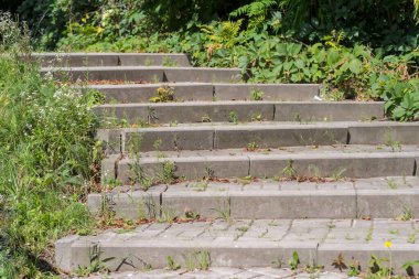 Merdivenler ve parktaki merdivenler. Bir kaldırım - basamaklı - otlarla kaplı - alçak bir yüksekliğe tırmanır. Ostrowiec 'te bir Ağustos sabahı yeşillik açısından zengin bir kaldırım. .