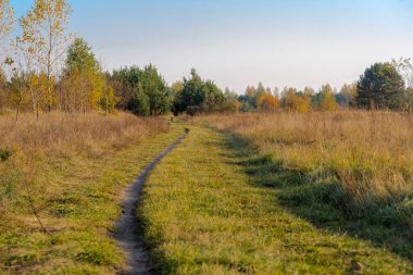 Ormanda sonbahar sabahı. Bir çayırda dönüp ormanda kaybolan bir patika. Doğanın bağrında bir sonbahar günü, günbatımının zamanı. Güneşli bir Ekim öğleden sonrasında Swietokrzyskie doğasının güzelliği.  