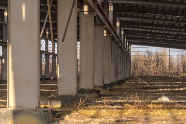 Kış günü terk edilmiş sanayi binası. Büyük, beton sütunlar terk edilmiş bir sanayi salonunun çatı yapısını destekliyor. Zemin molozlarla ve dağınık molozlarla dolu ve kuru, fazla büyümüş çimenler onu dürtüyor. Güneş ışığı kalıpları.