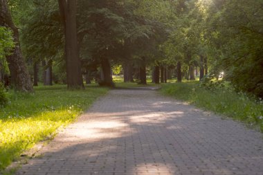 Bir bahar öğleden sonra park yeri. Tuğladan yapılma yol yemyeşil çimenler ve yüksek ağaçlarla çevrili, tepe örtüsü oluşturuyor. Benekli güneş ışığı yaprakların arasından süzülüyor, yola nazik gölgeler seriyor. Sahne huzurlu ve huzurlu bir atmosferi taşıyor.