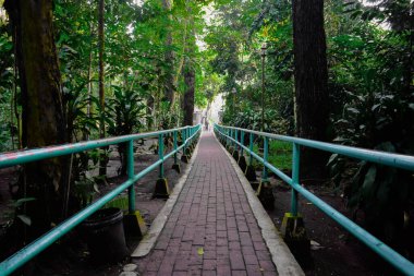 Yeşil parktaki huzurlu bahçe yolu tuğlası, güzel manzaralı bir çevrede ağaçların ve bitkilerin arasında yürümek.