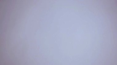 Eski günleri yalıtılmış beyaz arka planda meyve tutarak kapat