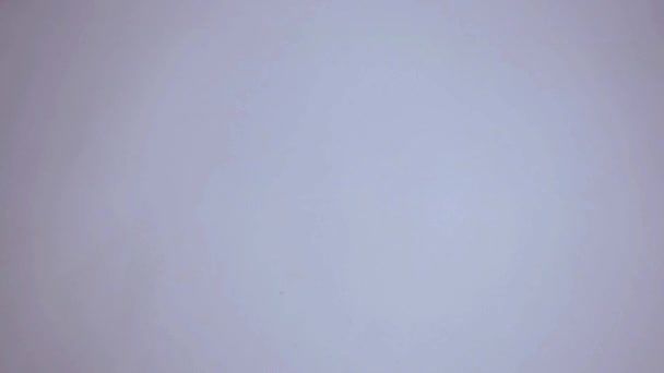 在孤立的白色背景上握着枣子的老手 — 图库视频影像