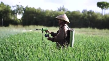 Yaşlı bir erkek çiftçi pirinç yeşili tarlasına böcek ilacı sıkıyor. Pirinç tarlasını bitki böceklerinden koru. Yaşlılar doğada çalışıyor..