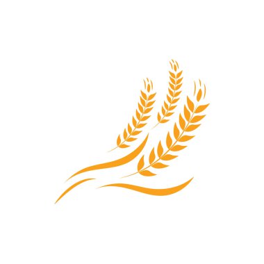 Buğday logosu düz tasarım şablonu