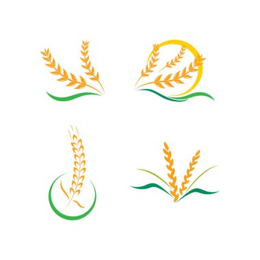 Buğday logosu düz tasarım şablonu