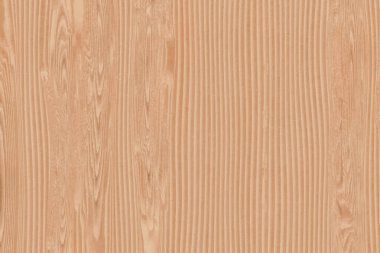 Parlak, sade kestane ağacı. 