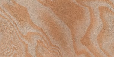 Kesilmiş huş ağacı ahşap dokusuna yakın çekim. Yüksek kalite fotoğraf