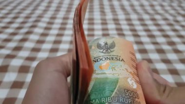 Beş bin rupia 'lık banknotları sayan bir adamın yakın çekimi. Nakit sayan bir iş adamı. Yatırım, para değişimi, rüşvet veya yolsuzluk kavramı.