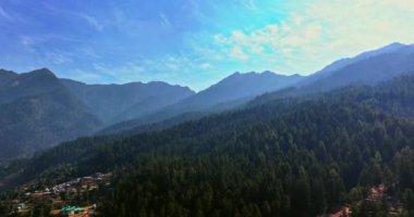 Dağdaki yeşil sedir ve çam ağacı ormanı. Tepelerin ve çayırların üzerinde sabah sisi. Doğa geçmişi. Seyahat yerleri. Güzel vahşi manzara. Yaz tatili turizmi. Sinematik hava aracı.