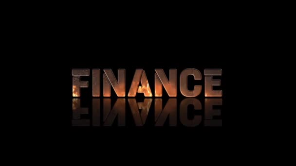 Animace Grafický Design Finance Textové Efekty — Stock video
