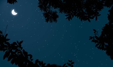 Ormandaki güzel gece gökyüzü Ay ve yıldızlarla