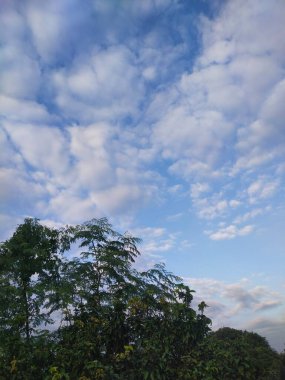 Mavi gökyüzü olan ağaçlar ve arka plan için beyaz bulutlar. Yaz tatili kavramı.