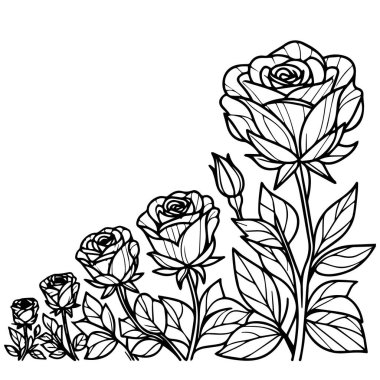 Çiçekli Güzel Güller Renk Sayfası