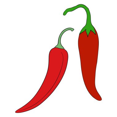 İki kırmızı acı biber vektör illüstrasyonu