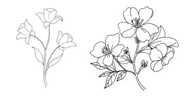 El çizimi basit çiçek özeti koleksiyonu