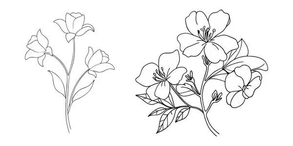 El çizimi basit çiçek özeti koleksiyonu