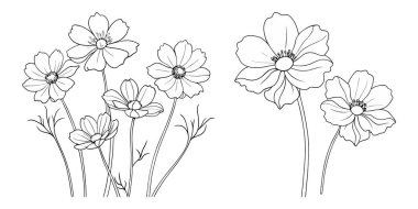 Çocuklar ve yetişkinler için el çizimi Kozmos çiçek özet çizimi renk sayfası