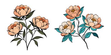 Elle çizilmiş Şakayık çiçeği