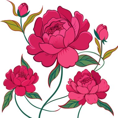 Elle çizilmiş Şakayık çiçeği