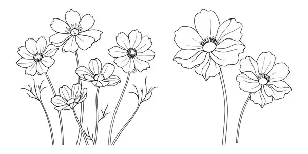 Çocuklar ve yetişkinler için el çizimi Kozmos çiçek özet çizimi renk sayfası
