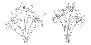 El çizimi İris çiçeği çizimi