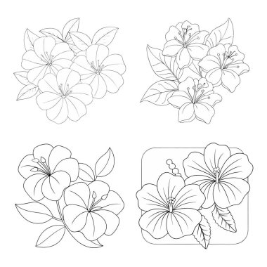 Hibiscus çiçek boyama kitabı sayfa çizimi çocuklar ve yetişkinler için