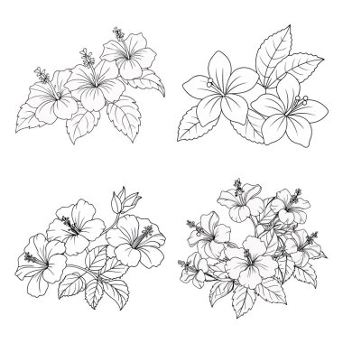 Hibiscus çiçek boyama kitabı sayfa çizimi çocuklar ve yetişkinler için