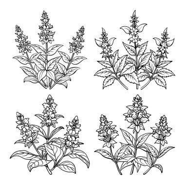 Basit çiçekler, çocuk ve yetişkinler için çizim vektör illüstrasyonları çizen kitap sayfasının ana hatlarını belirler