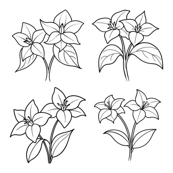 Trilyum çiçeği ana hatları boyama kitabı sayfa çizimi sanat çocuklar ve yetişkinler için vektör çizimi