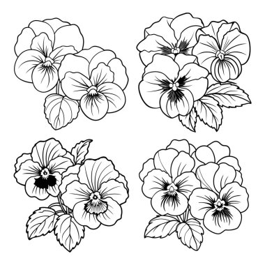 Nonoş çiçek ana hatları, boyama kitabı sayfa çizimi, çocuklar ve yetişkinler için vektör çizimi
