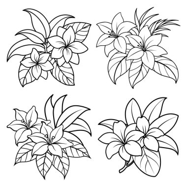Tropikal çiçekler, çocuk ve yetişkinler için çizim vektör çizimi çizen kitap sayfasının ana hatlarını belirler