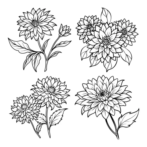 Aster çiçeği ana hatlarını boyama kitabı sayfa satırı resim çizimi çocuklar ve yetişkinler için vektör illüstrasyonu