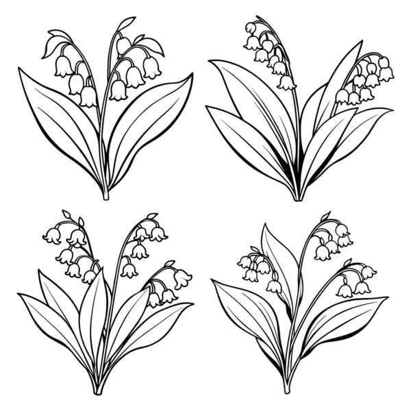 Vadi çiçeği ana hatları. Kitap sayfası. Sanat, çocuklar ve yetişkinler için vektör çizimi.