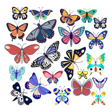 Çocuklar, El Sanatları ve Dekor İçin Renkli Kelebek Koleksiyonu Canlı Vektör Böceği Seti