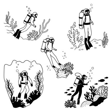 Sualtı hattındaki dalgıçlar baloncuklu mercan resiflerini ve deniz hayvanlarını araştırıyorlar.