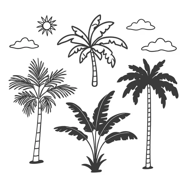 Hem siluet hem de Egzotik Doğa Tasarımları Çizgisi Sanatsal Tropikal Ağaç Koleksiyonu