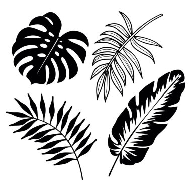 Tropikal bitki siluet koleksiyonunu palmiye muz canavarı ve orman yaprakları ile bırakır.