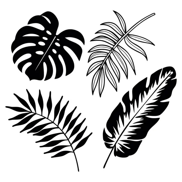 Tropikal bitki siluet koleksiyonunu palmiye muz canavarı ve orman yaprakları ile bırakır.