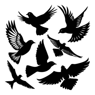 Farklı pozisyonlarda uçan kuşların siluet koleksiyonu açık kanatlar ve zarif hareketlerle