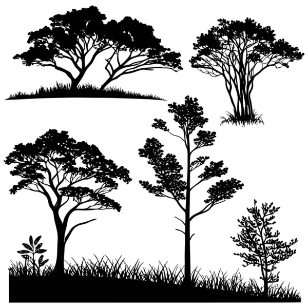 Orman, doğa ve yeşillik temaları için ağaçların siluetleri, çalılar ve beyazlar üzerine siyahlar giymiş bitkiler.